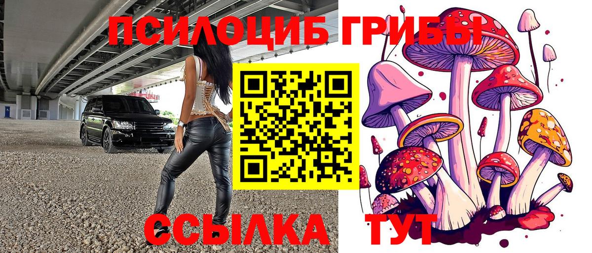 Междуреченск  закладки  Вход с VPN  Галлюциногенные грибы Magic Shrooms  Галлюциногенные грибы ЛСД 